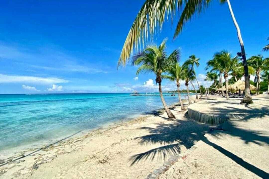 Photo of Others in Dominicus