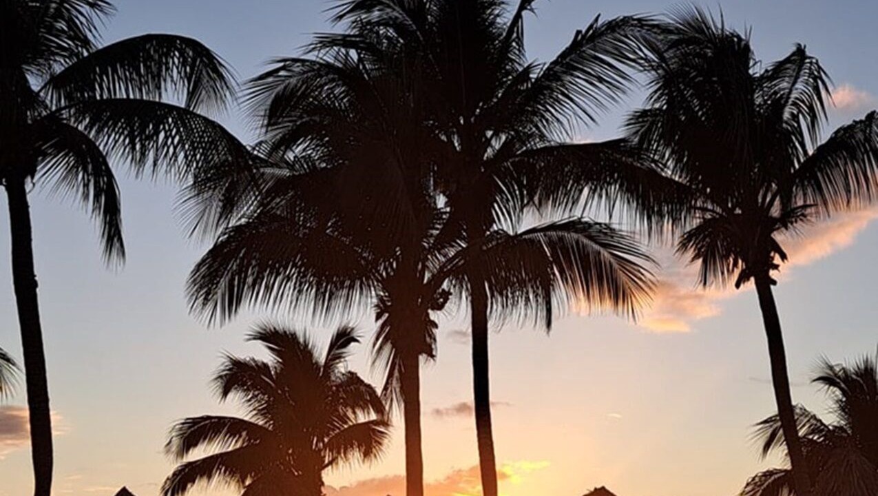 Photo of Others in Dominicus