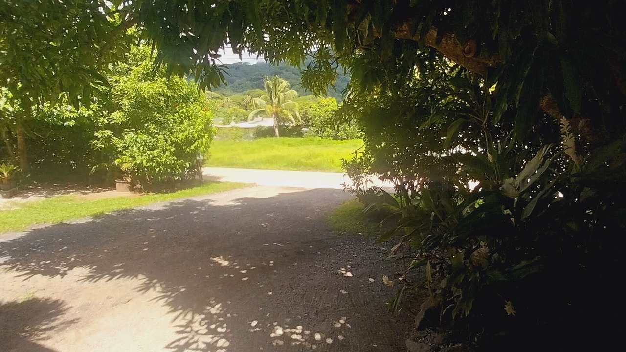 Photo of Outdoor in Fare