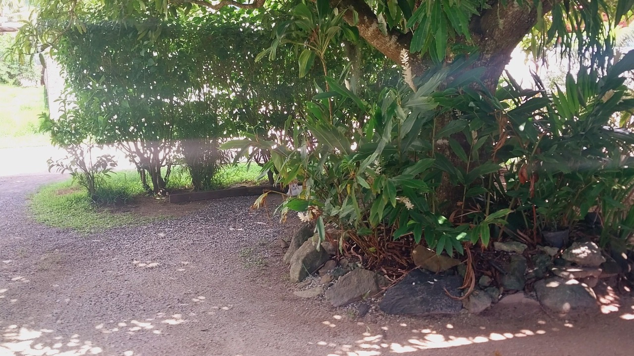 Photo of Outdoor in Fare