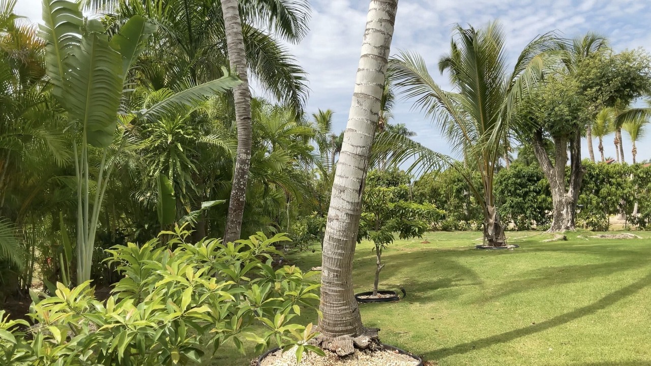 Photo of Outdoor in Casa de Campo