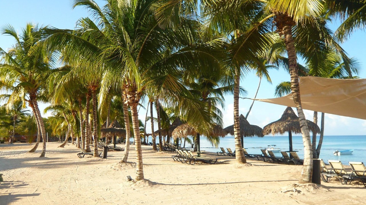 Photo of Others in Dominicus