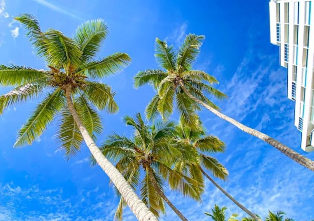 Photo of Outdoor in Guayacanes