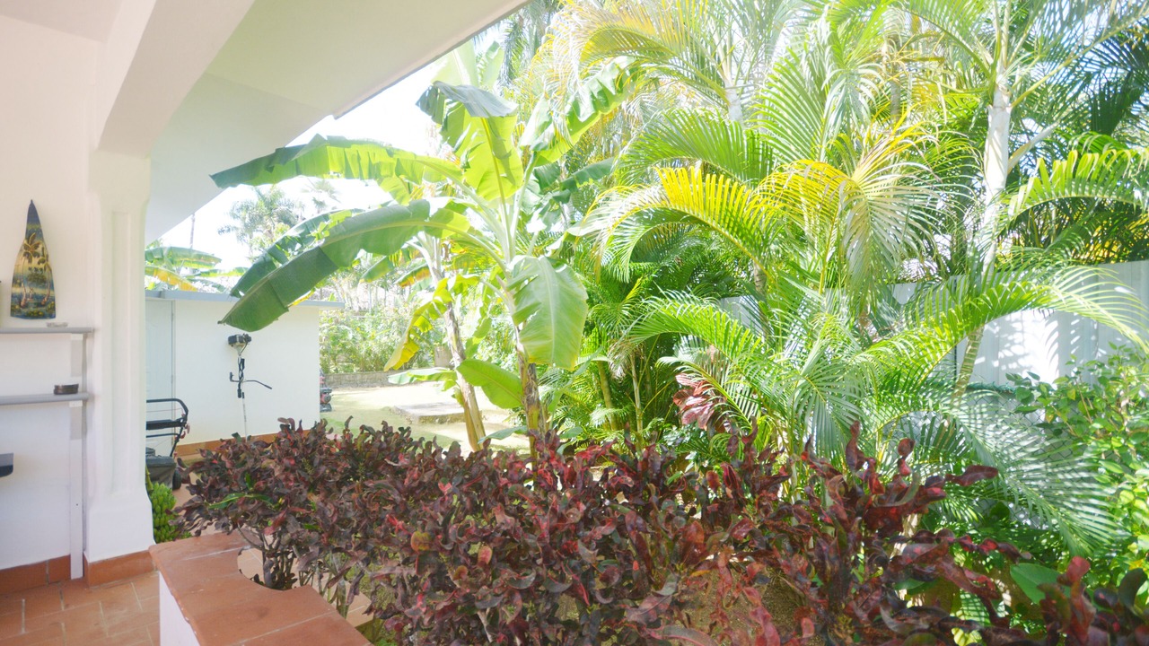 Photo of Outdoor in El Callejon