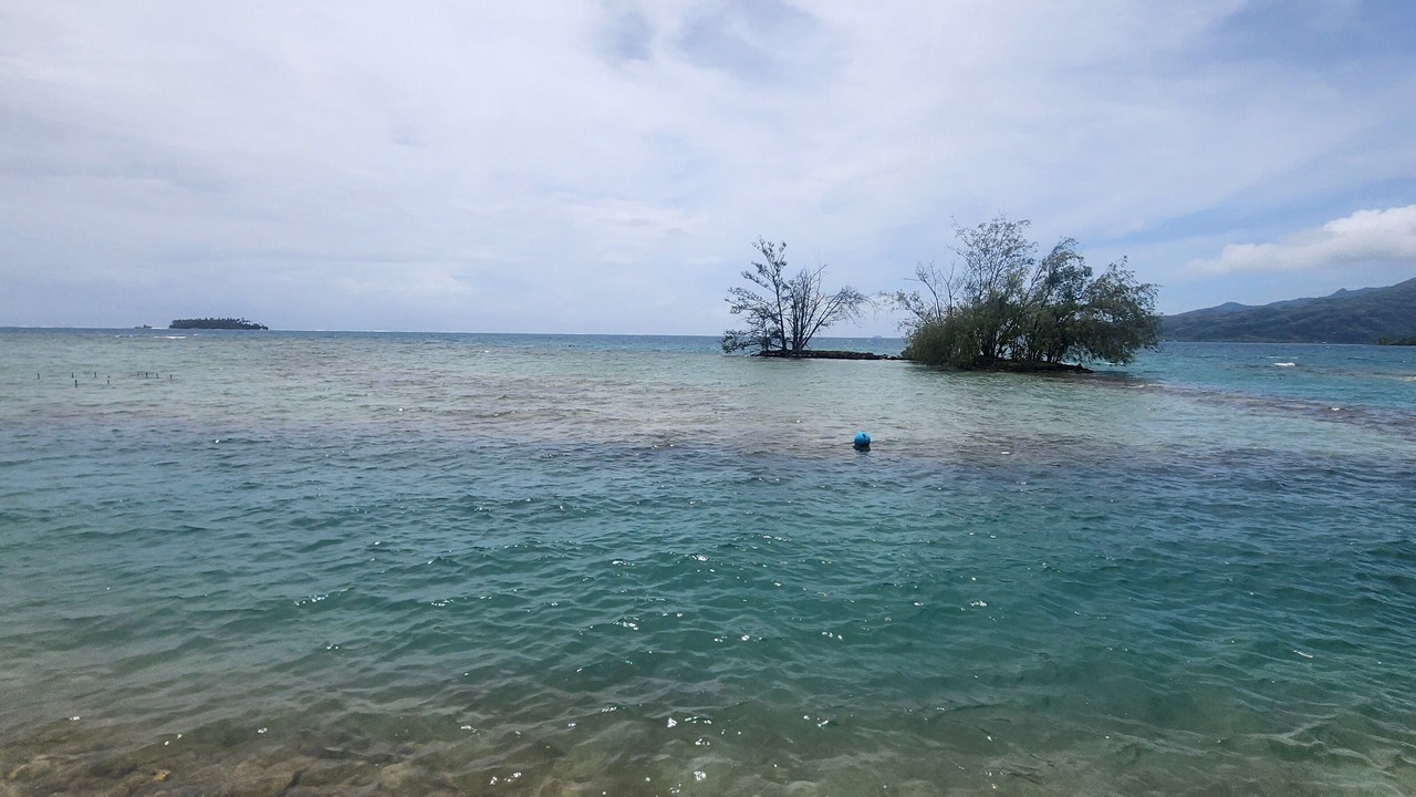 Photo of Others in Teahupoo
