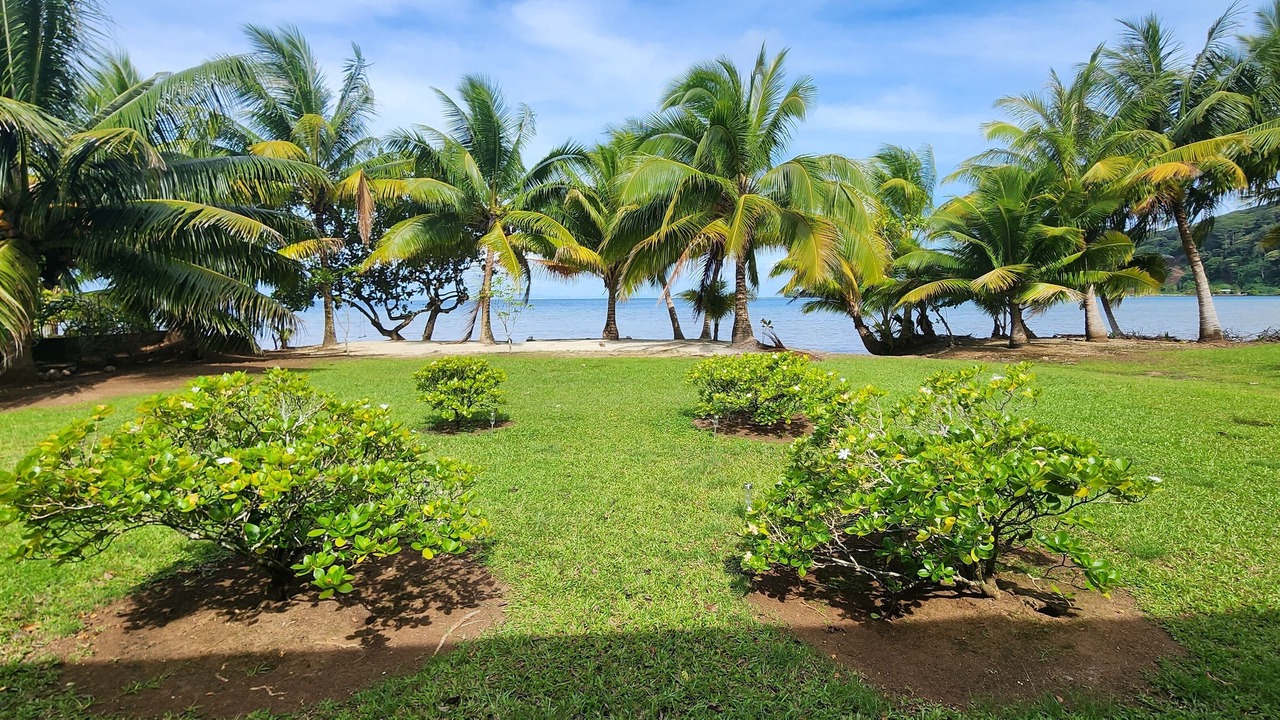 Photo of Outdoor in Teahupoo