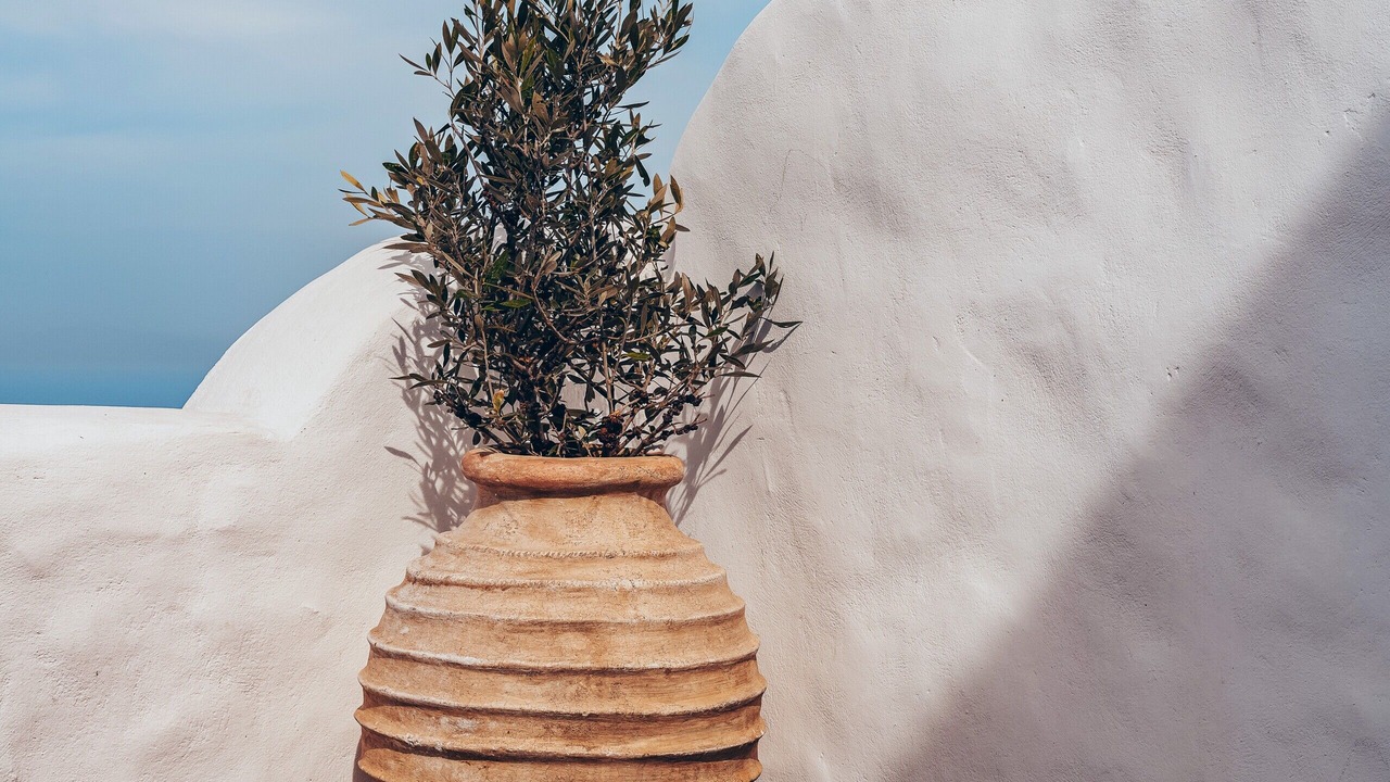 Photo of Others in Pyrgos