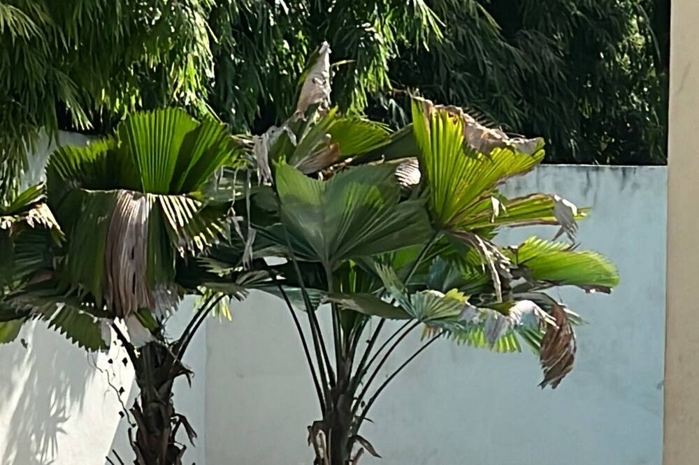 Photo of Outdoor in Guaricano