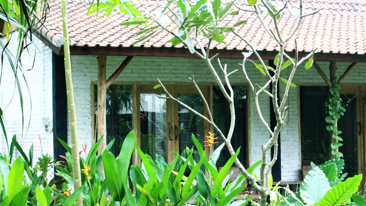 Photo of Outdoor in Medewi
