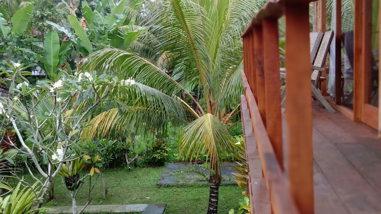 Photo of Outdoor in Medewi