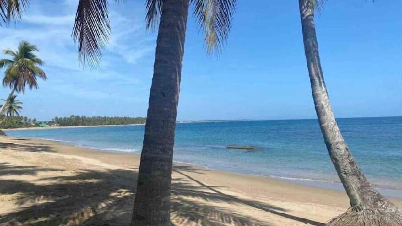 Photo of Others in Nagua