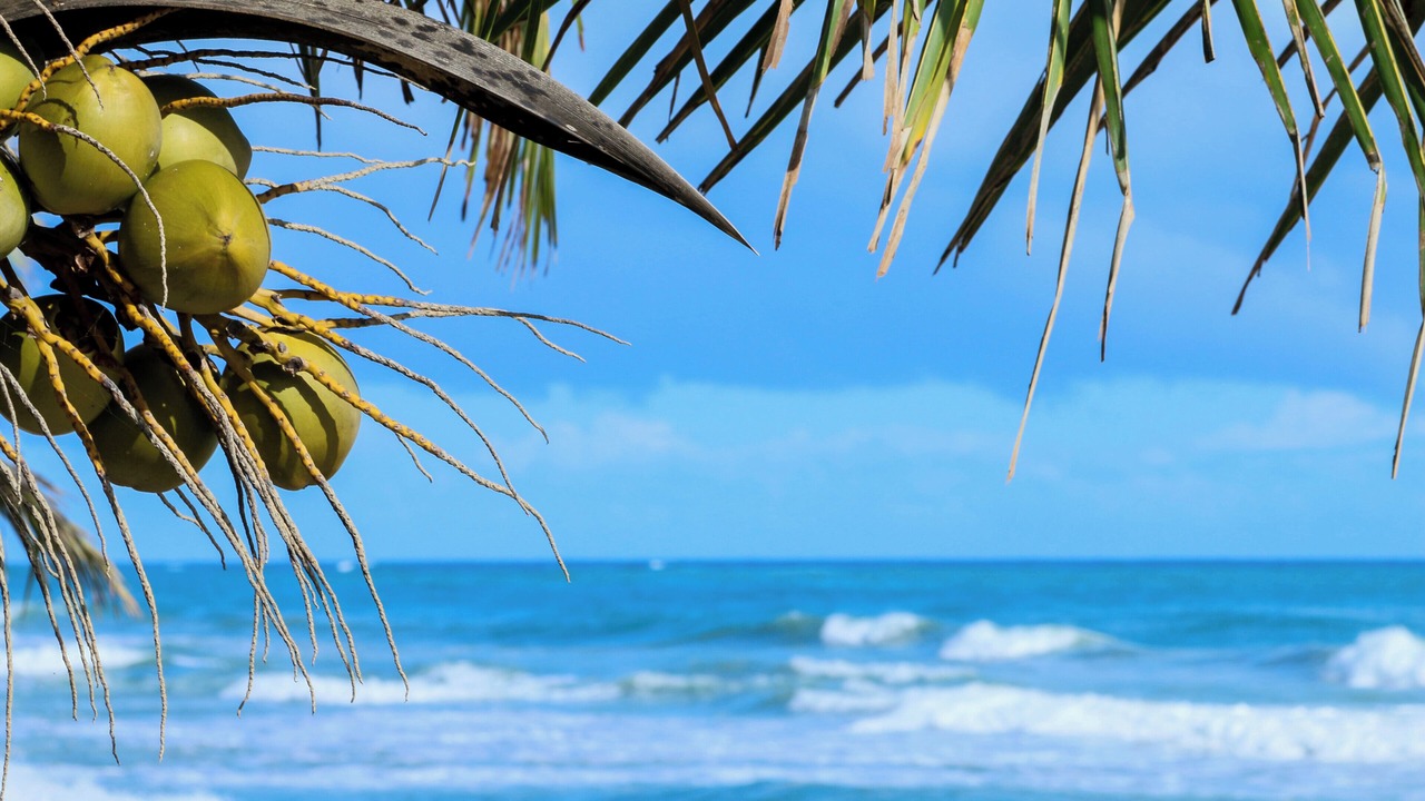 Photo of Outdoor in Cabarete