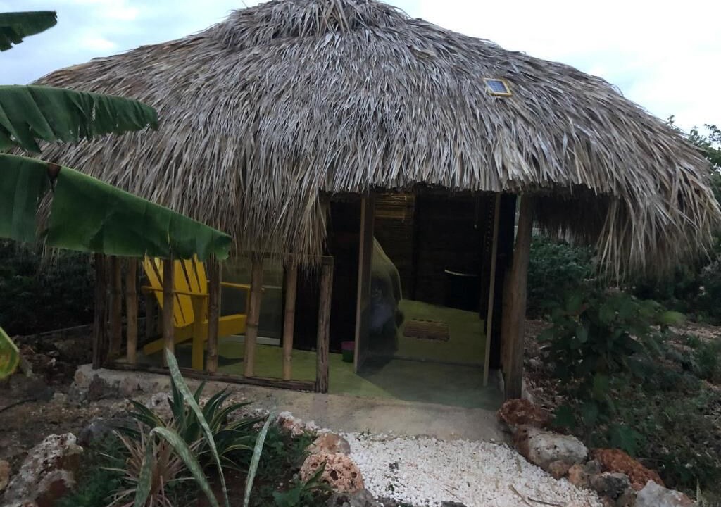 Photo of Outdoor in Bayahibe