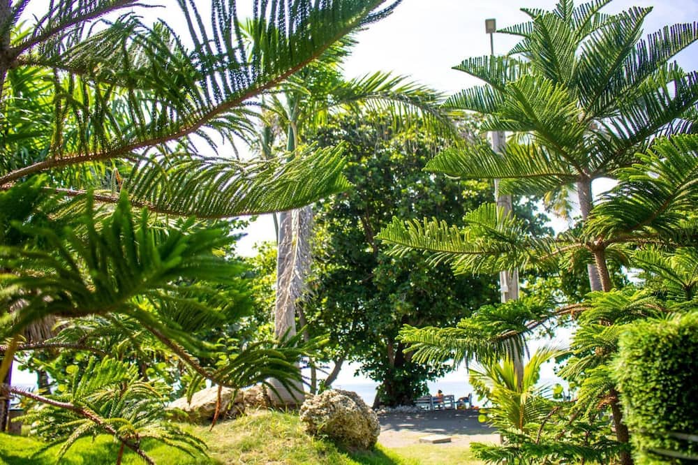 Photo of Outdoor in Sabana Palenque
