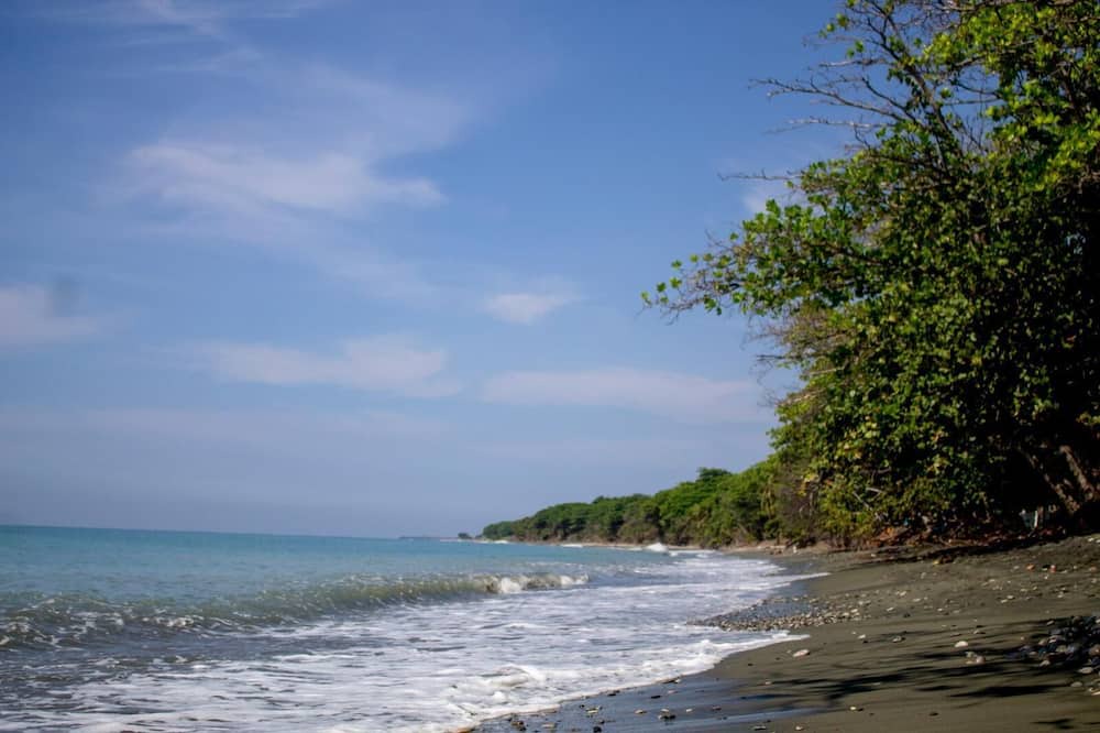 Photo of Others in Sabana Palenque