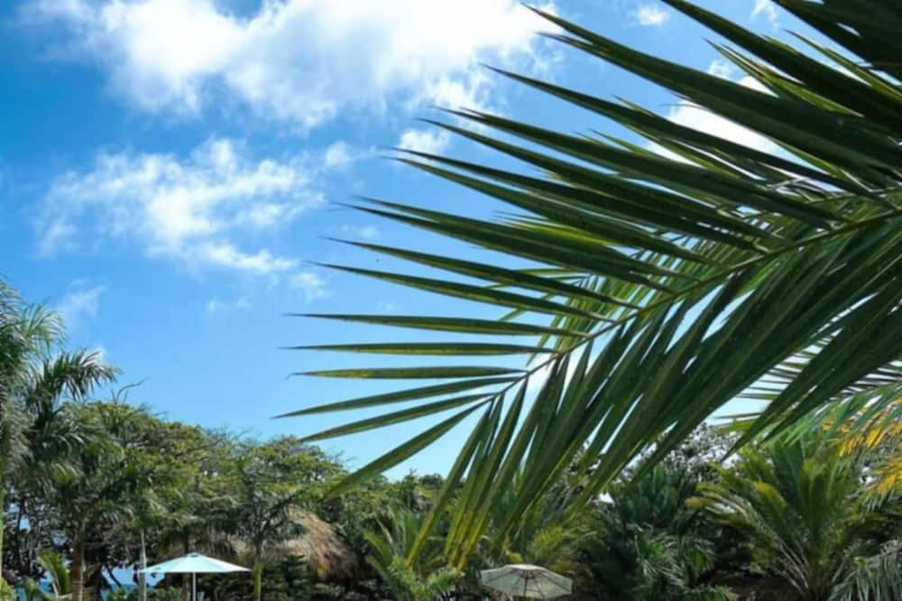 Photo of Outdoor in Sabana Palenque