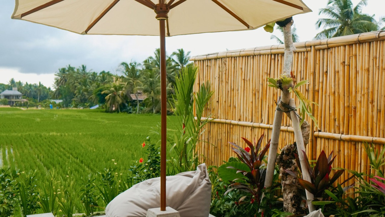 Photo of Others in Ubud City-Centre