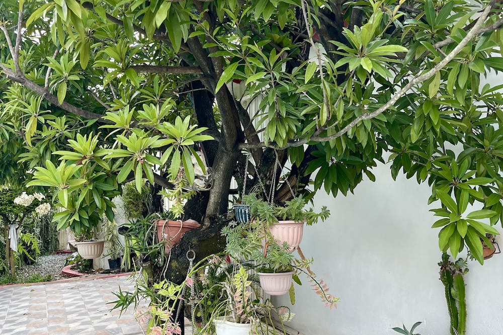 Photo of Outdoor in Santo Domingo Oeste