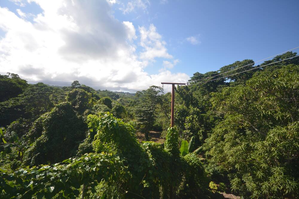 Photo of Outdoor in La Ceiba