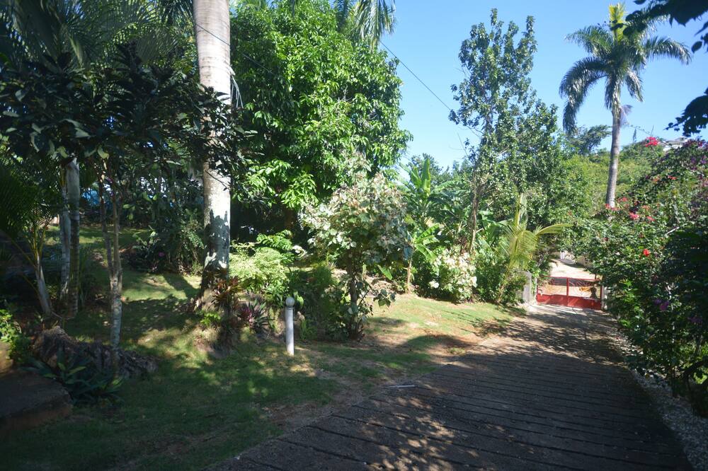 Photo of Outdoor in La Ceiba