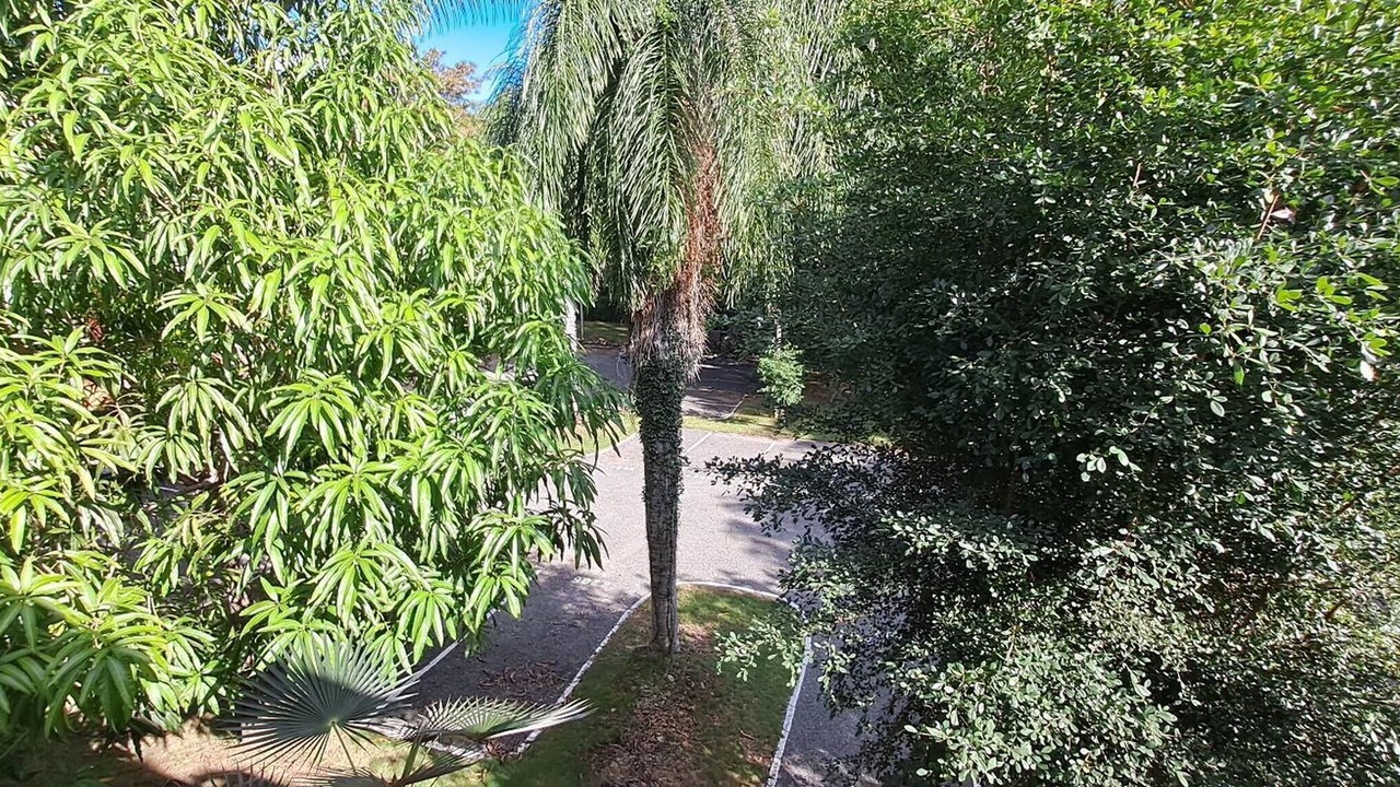 Photo of Outdoor in Juan Dolio