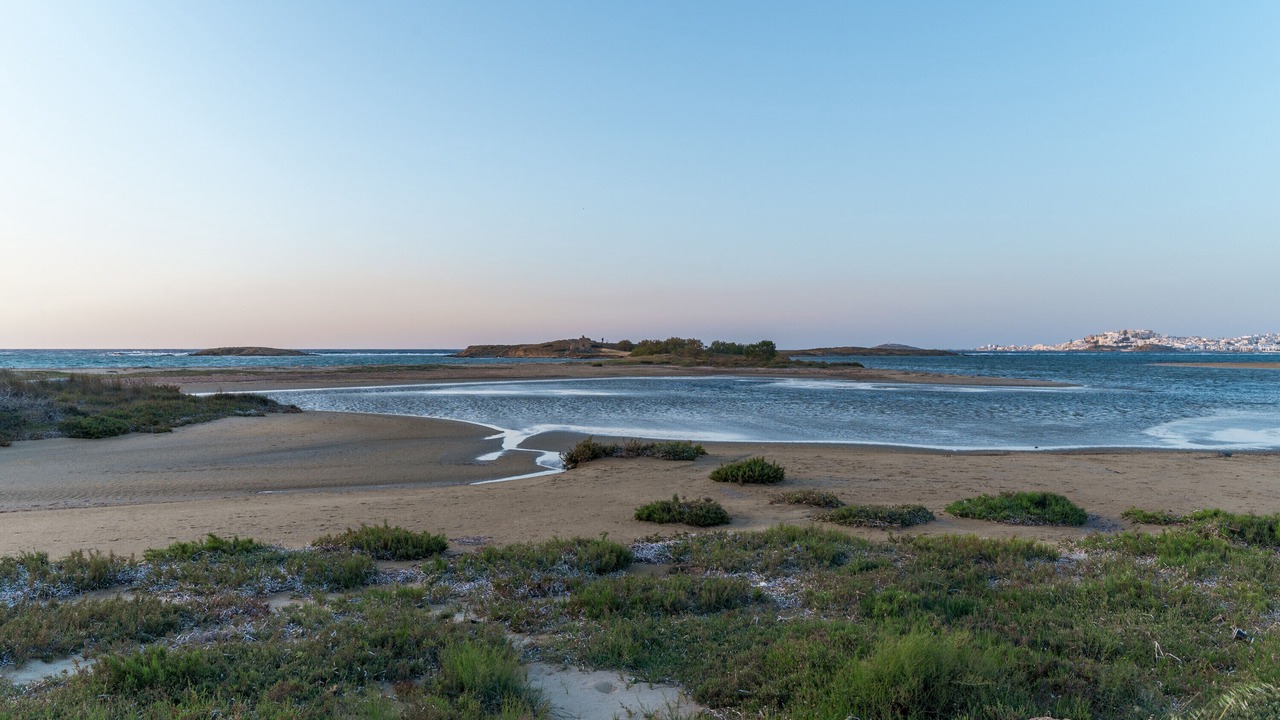 Photo of Others in Stelida