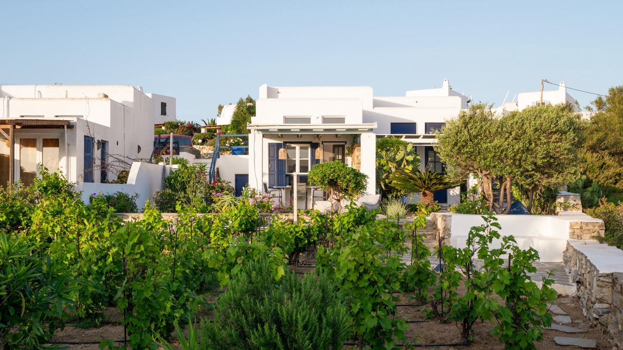 Photo of Outdoor in Stelida
