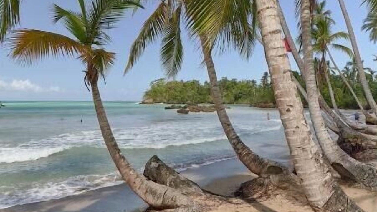 Photo of Others in La Ceiba