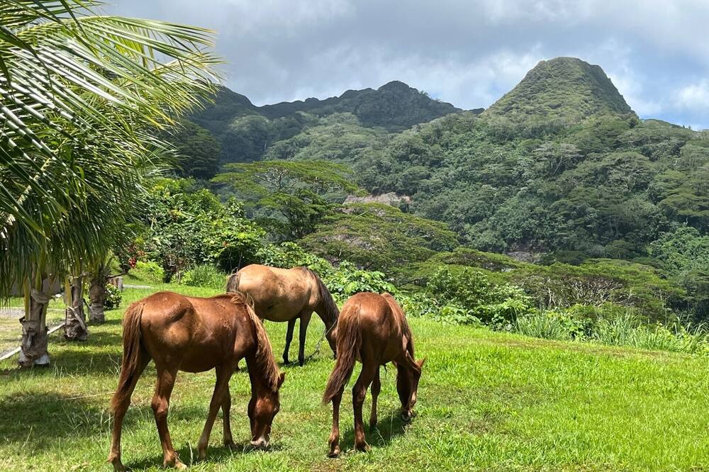 Photo of Outdoor in Teahupoo
