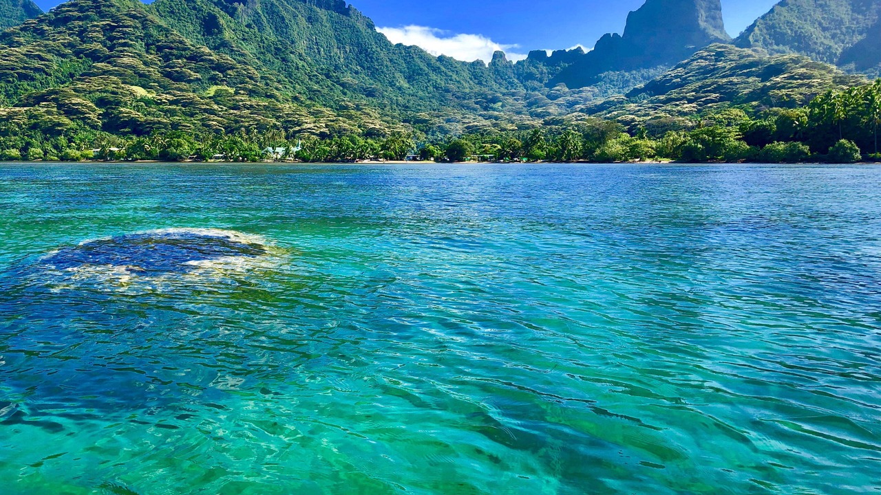 Photo of Outdoor in Ha'apiti