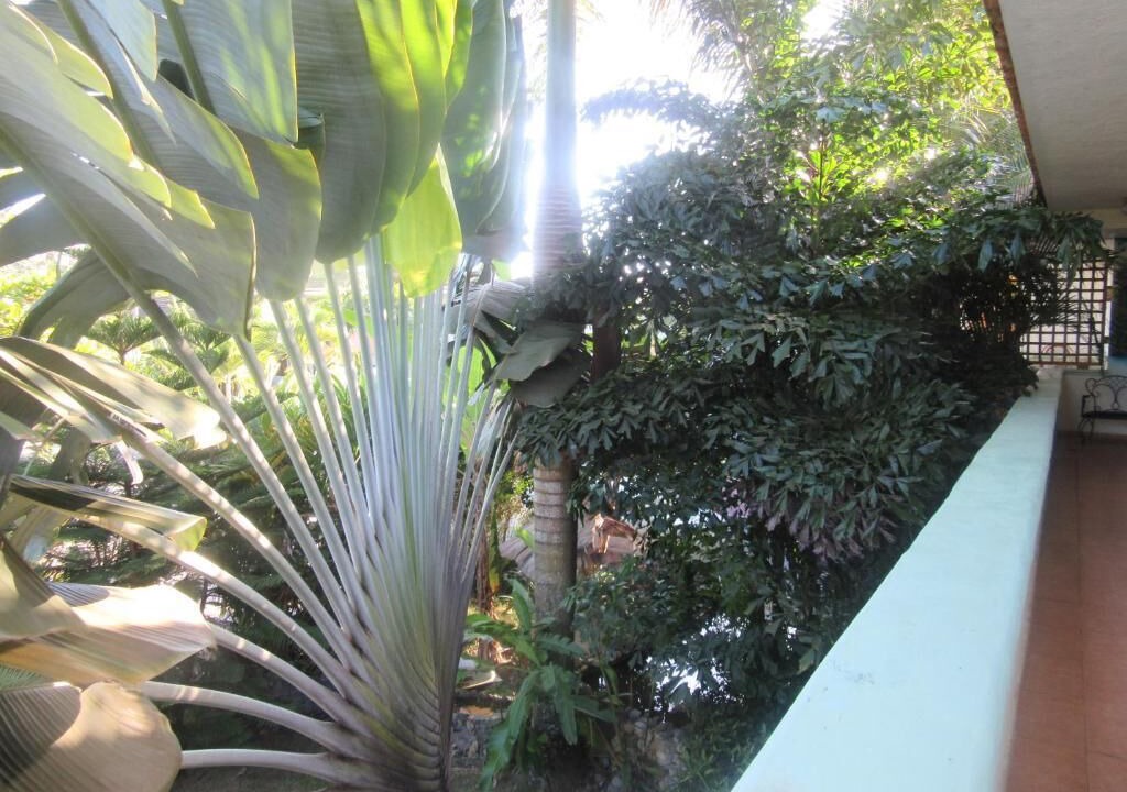 Photo of Outdoor in Nagua