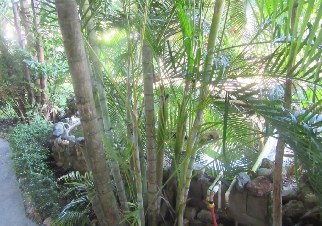 Photo of Outdoor in Nagua