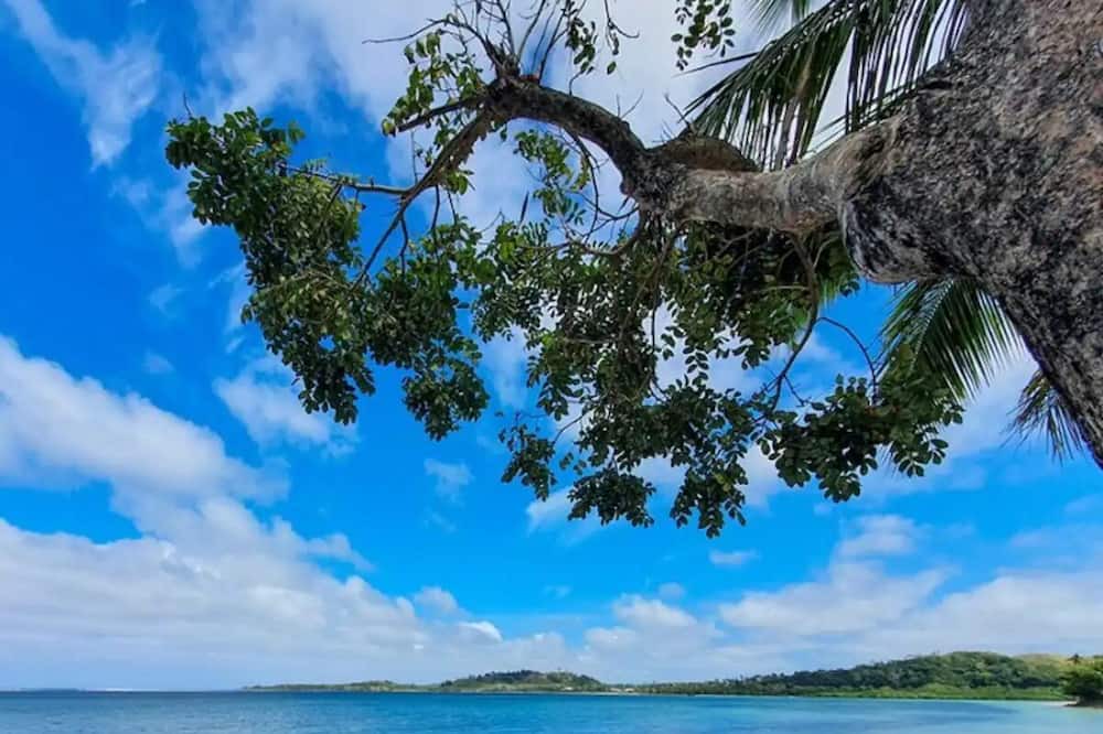 Photo of Others in Sigatoka