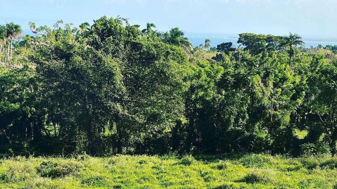 Photo of Outdoor in Cabrera