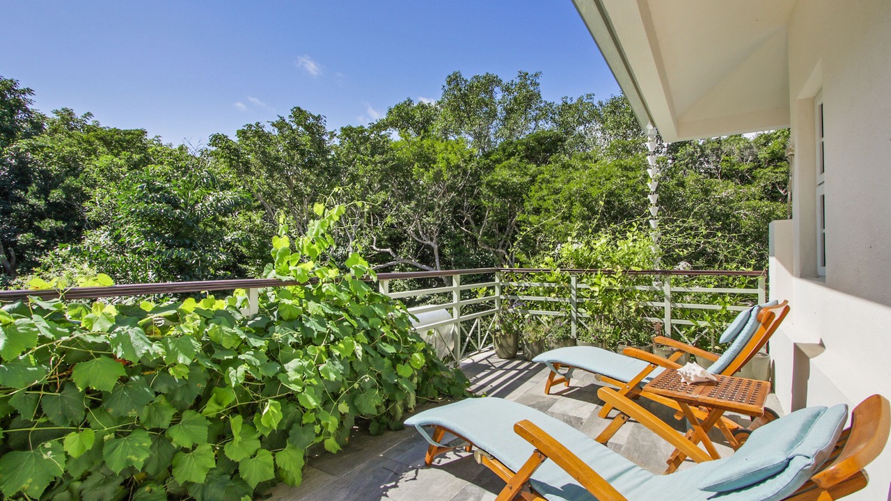Photo of Outdoor in Punta Cana
