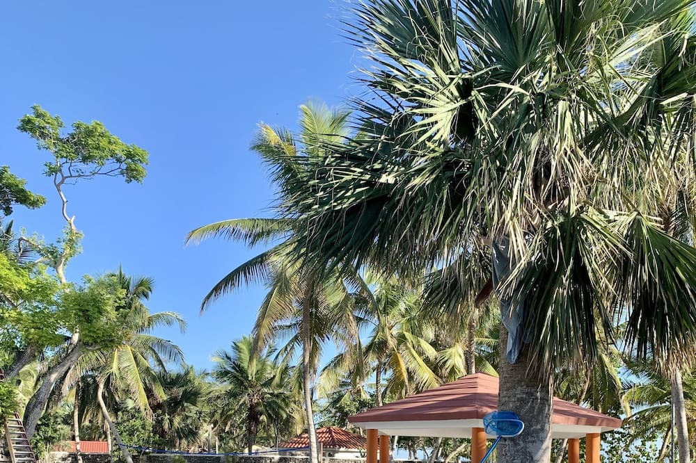 Photo of Outdoor in Villa Hermosa