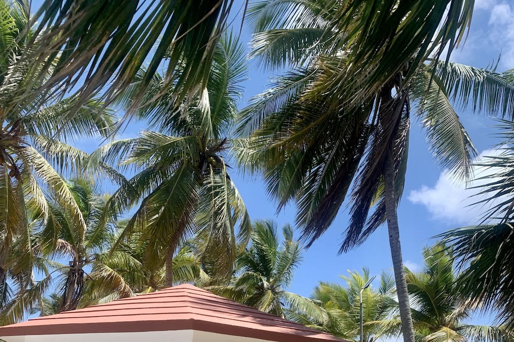 Photo of Outdoor in Villa Hermosa