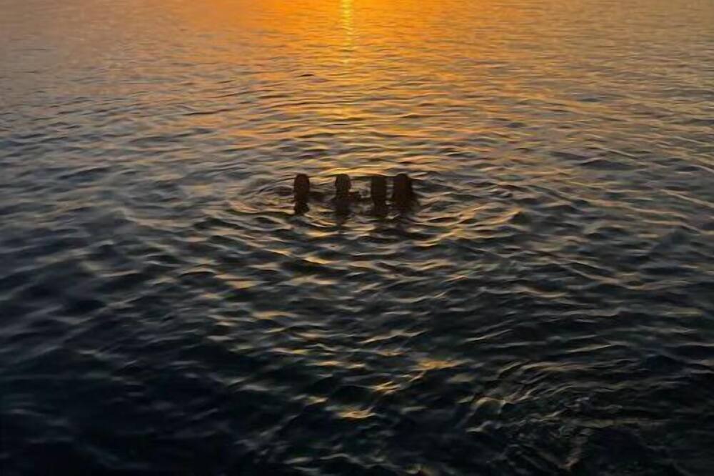 Photo of Others in Rio San Juan