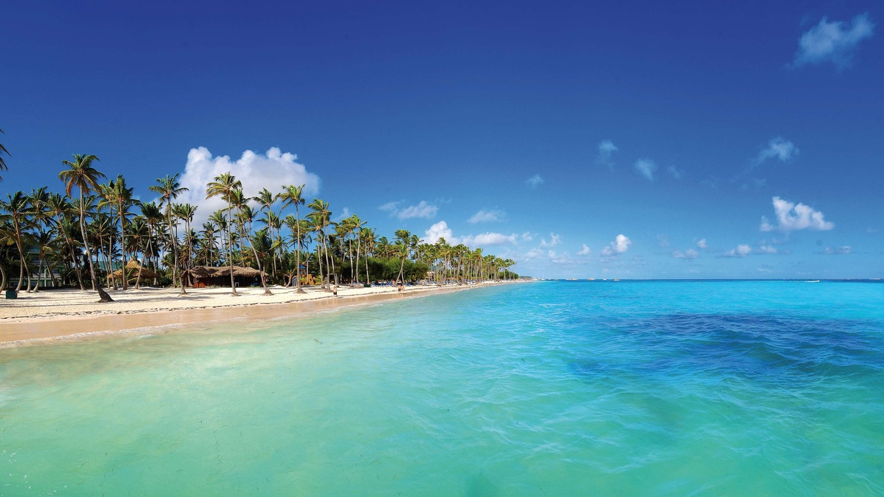 Photo of Others in Playa Bibijagua