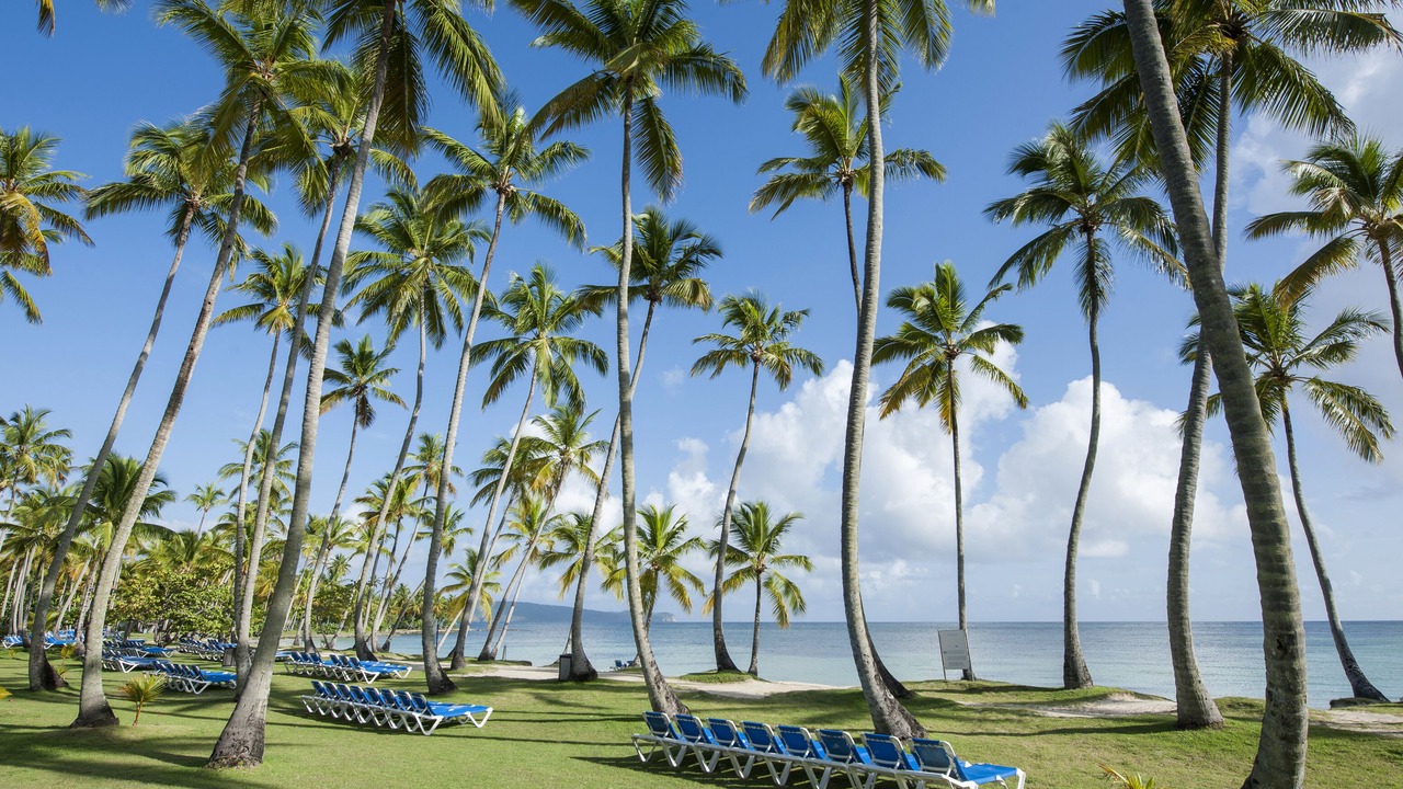 Photo of Others in Las Galeras