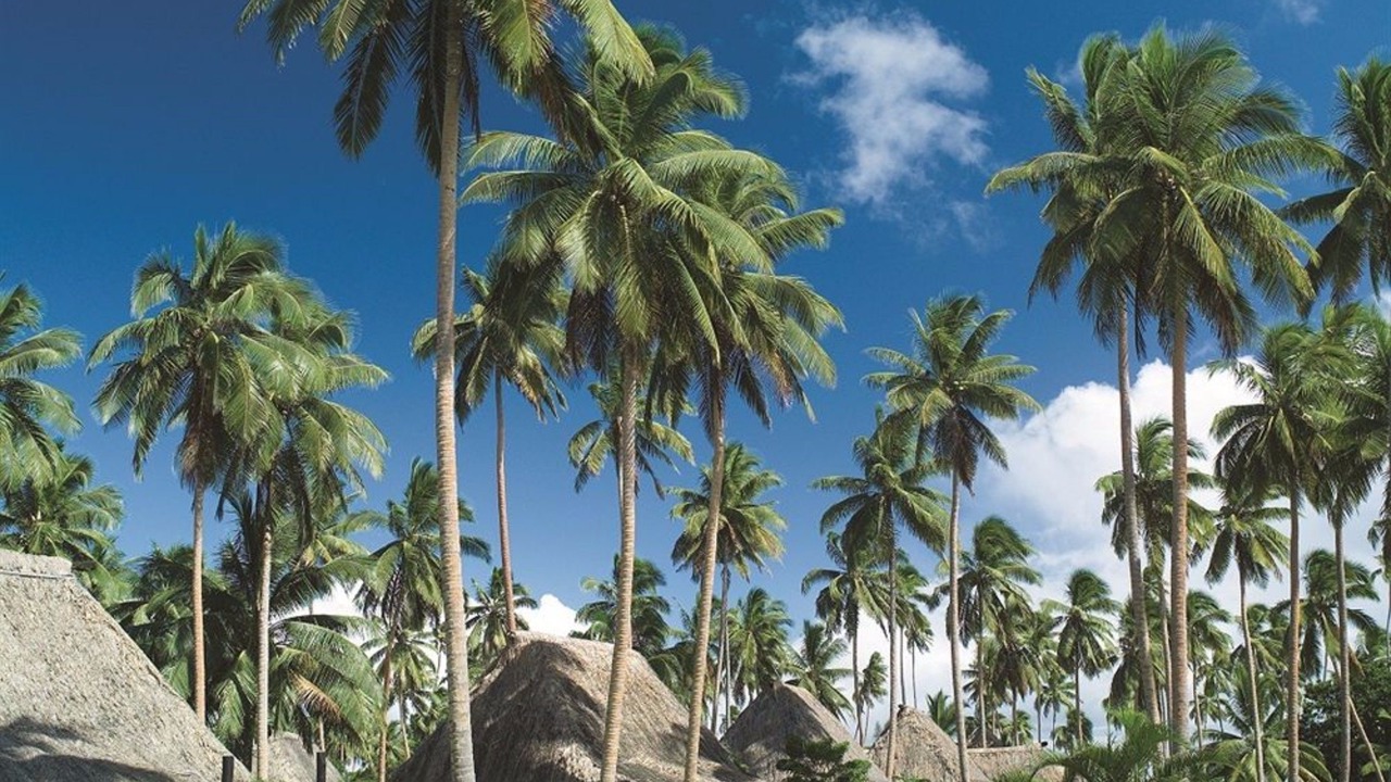 Photo of Outdoor in Savusavu