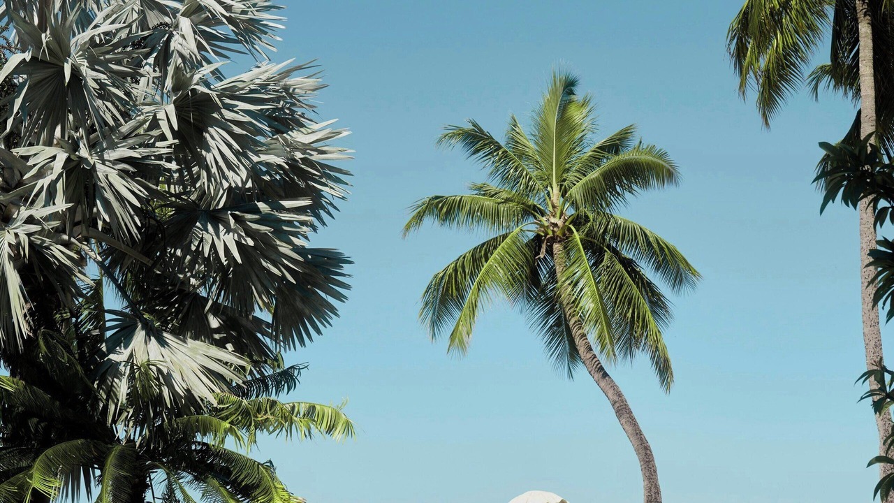Photo of Outdoor in Nadi