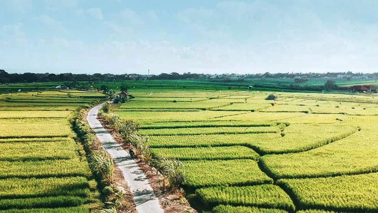 Photo of Outdoor in Batu Bolong