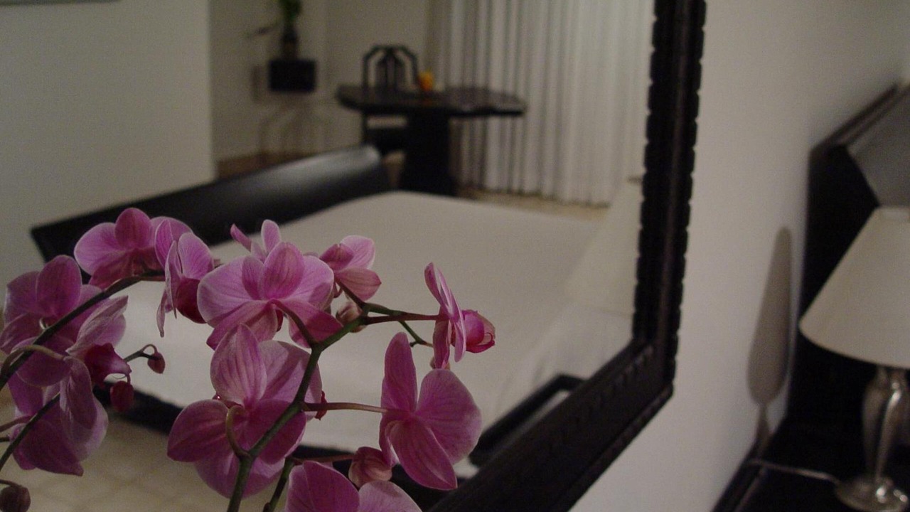 Photo of Bedroom in El Batey