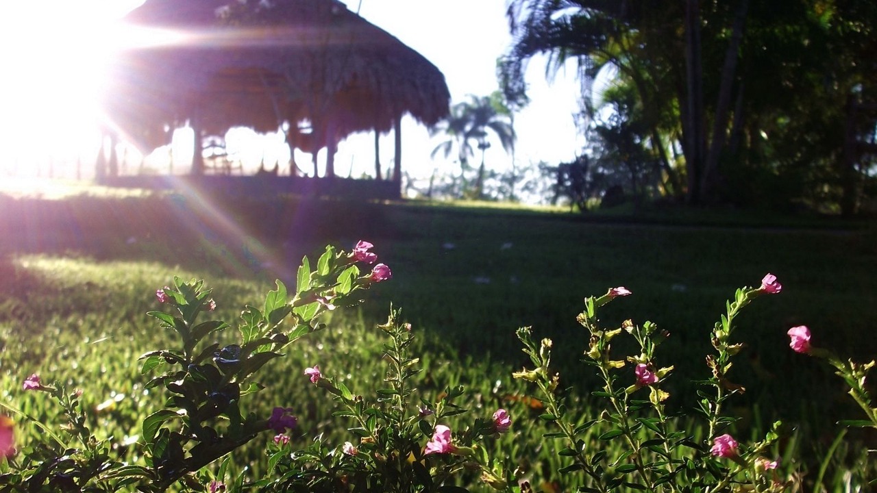 Photo of Outdoor in La Vega Province