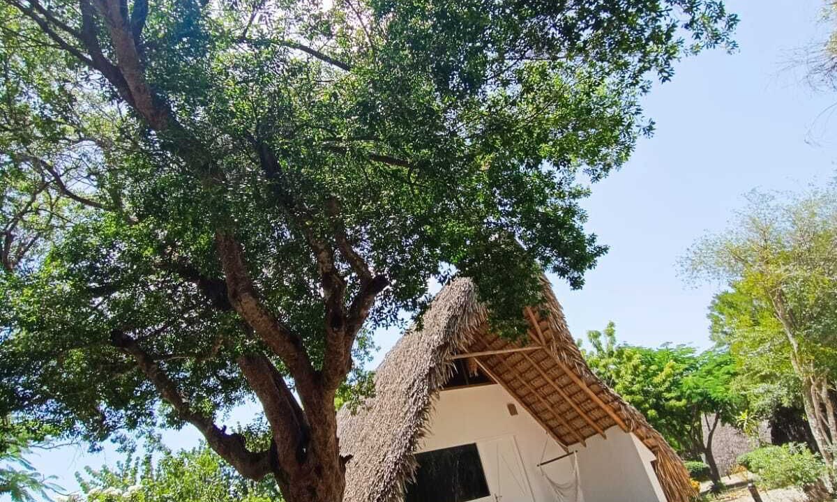 Photo of Outdoor in Punta Rucia