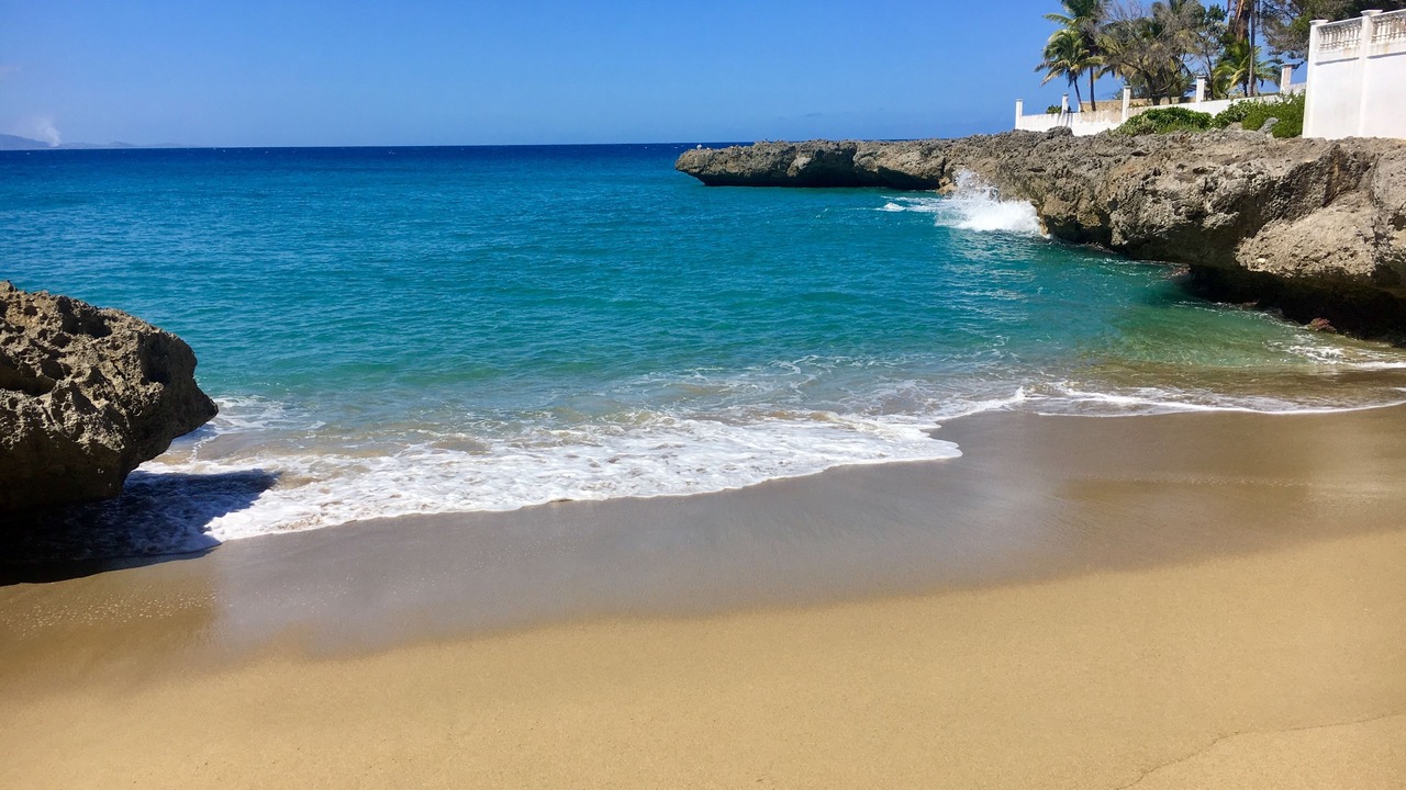 Photo of Others in Playa Chiquita