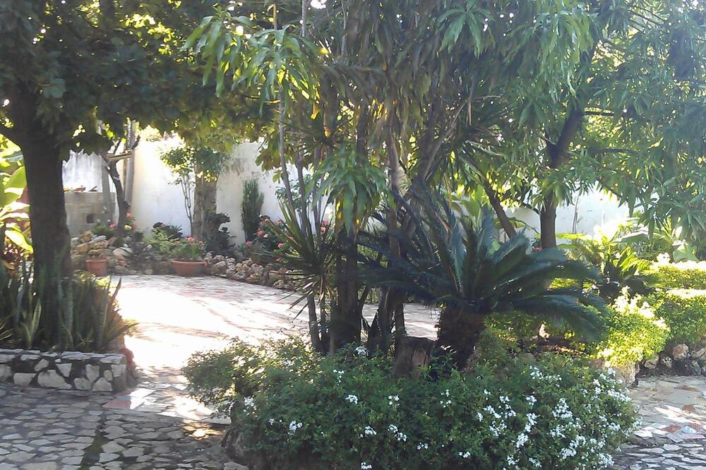 Photo of Outdoor in La Isabelita