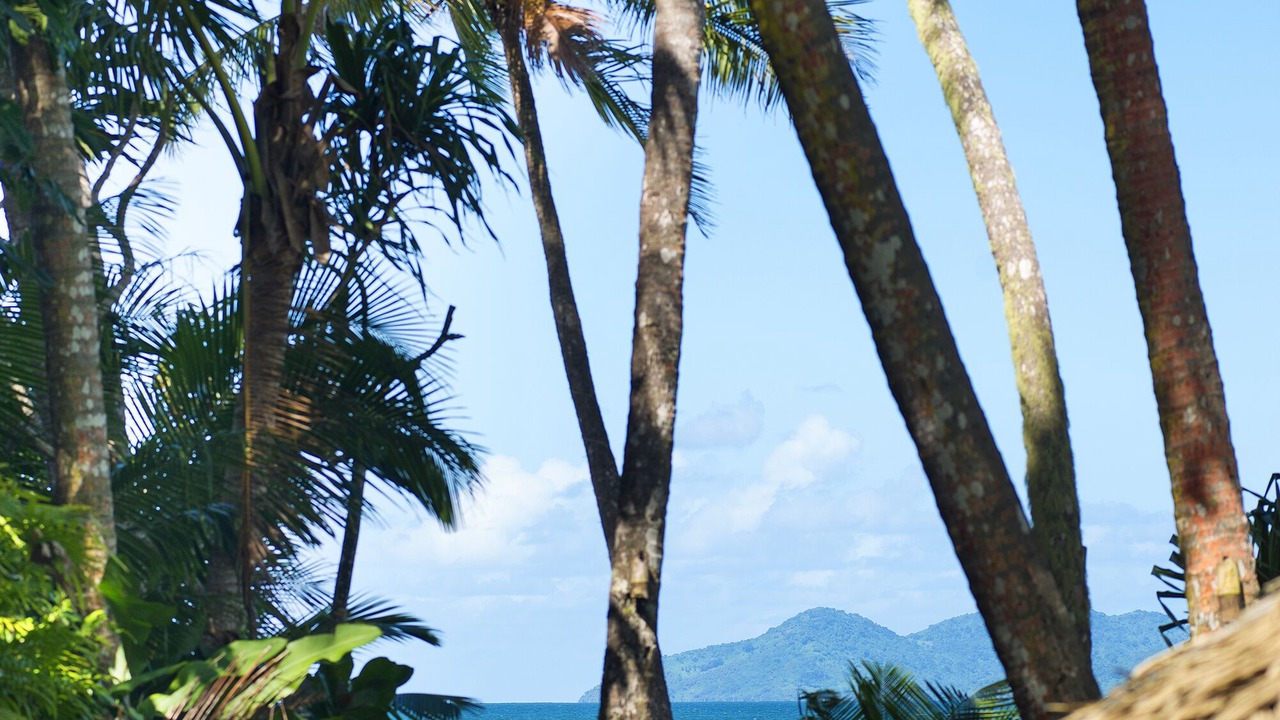 Photo of Outdoor in Pacific Harbour