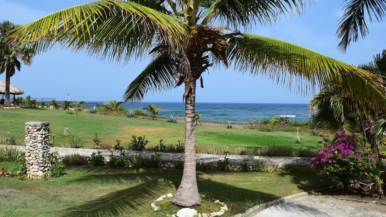 Photo of Outdoor in Juan Esteban